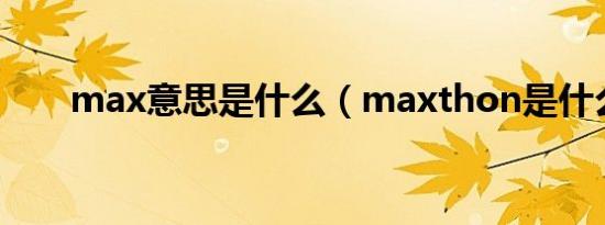 max意思是什么（maxthon是什么）