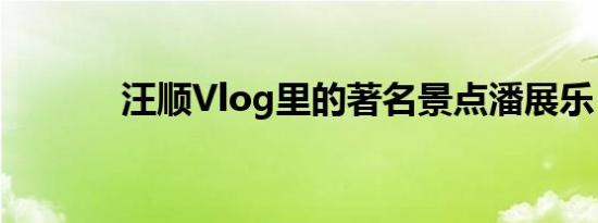 汪顺Vlog里的著名景点潘展乐