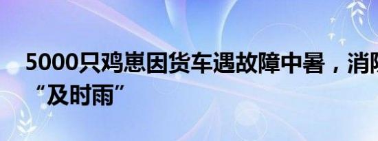 5000只鸡崽因货车遇故障中暑，消防员送来“及时雨”