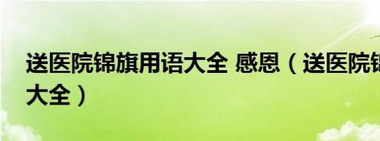 送医院锦旗用语大全 感恩（送医院锦旗用语大全）