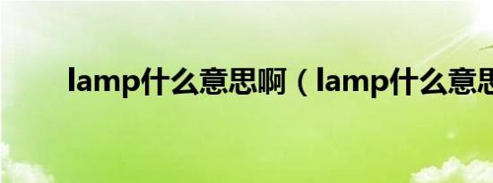 lamp什么意思啊（lamp什么意思）