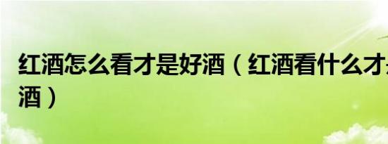 红酒怎么看才是好酒（红酒看什么才是好的红酒）