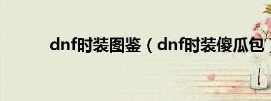 dnf时装图鉴（dnf时装傻瓜包）