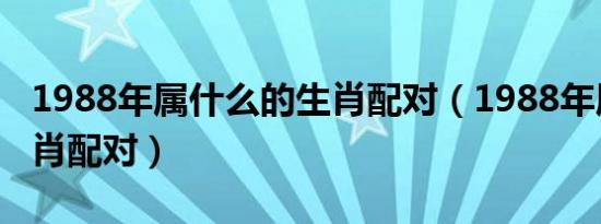 1988年属什么的生肖配对（1988年属什么生肖配对）