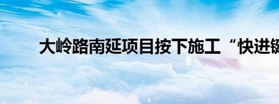 大岭路南延项目按下施工“快进键”