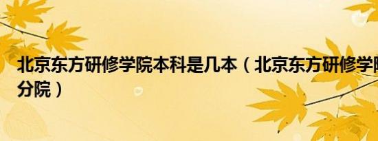 北京东方研修学院本科是几本（北京东方研修学院航空旅游分院）