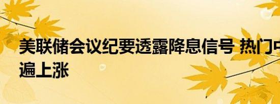 美联储会议纪要透露降息信号 热门中概股普遍上涨