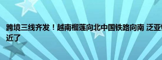 跨境三线齐发！越南榴莲向北中国铁路向南 泛亚铁路梦想更近了