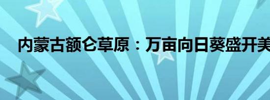 内蒙古额仑草原：万亩向日葵盛开美如画