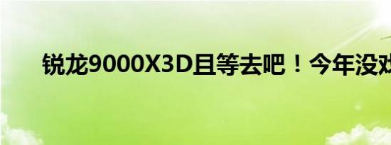 锐龙9000X3D且等去吧！今年没戏了