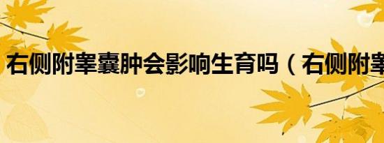 右侧附睾囊肿会影响生育吗（右侧附睾囊肿）