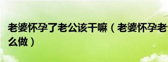 老婆怀孕了老公该干嘛（老婆怀孕老公应该怎么做）