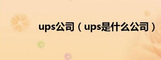 ups公司（ups是什么公司）