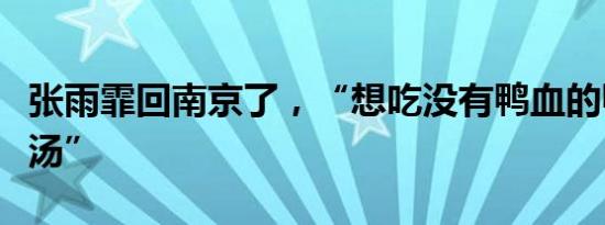 张雨霏回南京了，“想吃没有鸭血的鸭血粉丝汤”