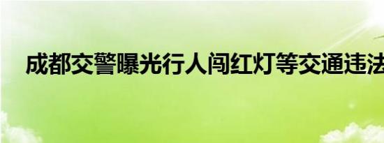 成都交警曝光行人闯红灯等交通违法行为