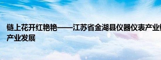 链上花开红艳艳——江苏省金湖县仪器仪表产业链党委助力产业发展