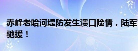 赤峰老哈河堤防发生溃口险情，陆军官兵星夜驰援！