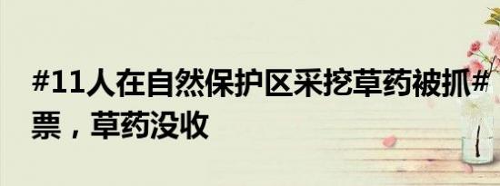 #11人在自然保护区采挖草药被抓#：补交门票，草药没收