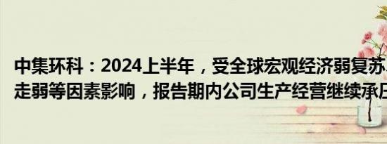 中集环科：2024上半年，受全球宏观经济弱复苏、美元汇率走弱等因素影响，报告期内公司生产经营继续承压