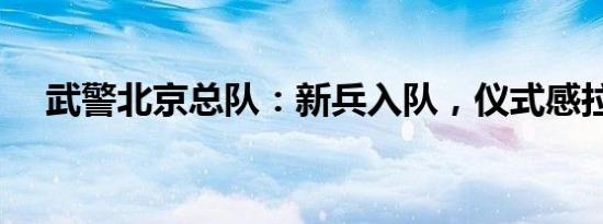 武警北京总队：新兵入队，仪式感拉满！