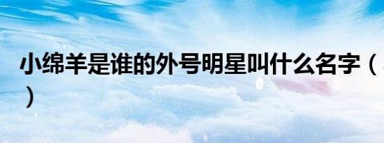 小绵羊是谁的外号明星叫什么名字（小绵羊sr）