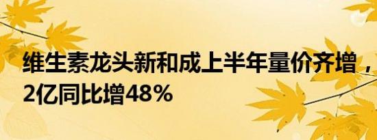 维生素龙头新和成上半年量价齐增，净利超22亿同比增48%