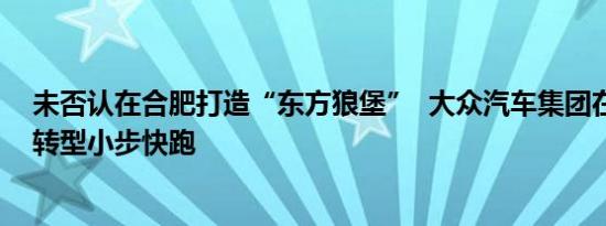 未否认在合肥打造“东方狼堡”  大众汽车集团在华电动化转型小步快跑