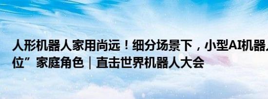 人形机器人家用尚远！细分场景下，小型AI机器人抢先“占位”家庭角色｜直击世界机器人大会