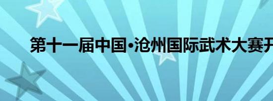 第十一届中国·沧州国际武术大赛开赛