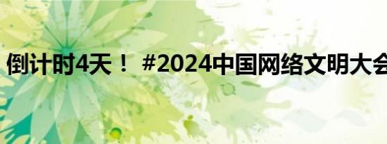 倒计时4天！ #2024中国网络文明大会来了#