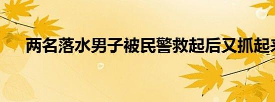 两名落水男子被民警救起后又抓起来了