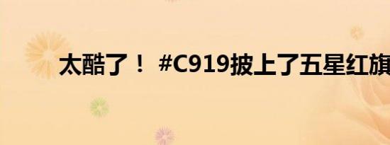 太酷了！ #C919披上了五星红旗#