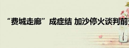 “费城走廊”成症结 加沙停火谈判前景如何