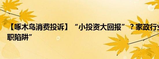 【啄木鸟消费投诉】“小投资大回报”？家政行业“收费入职陷阱”