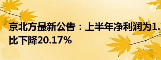 京北方最新公告：上半年净利润为1.2亿元 同比下降20.17%