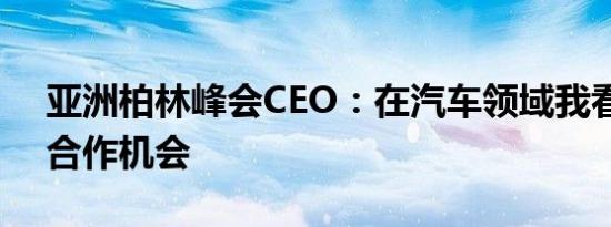 亚洲柏林峰会CEO：在汽车领域我看到很多合作机会