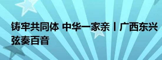 铸牢共同体 中华一家亲丨广西东兴：一根琴弦奏百音