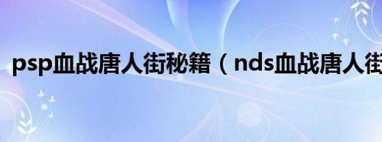 psp血战唐人街秘籍（nds血战唐人街秘籍）