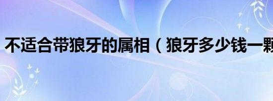 不适合带狼牙的属相（狼牙多少钱一颗真品）