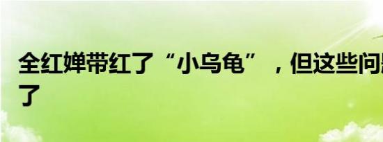 全红婵带红了“小乌龟”，但这些问题也出现了