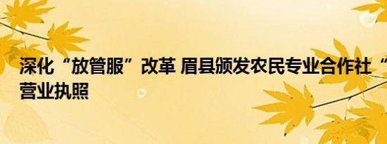 深化“放管服”改革 眉县颁发农民专业合作社“一照多址”营业执照