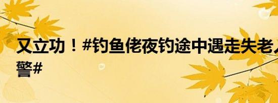 又立功！#钓鱼佬夜钓途中遇走失老人果断报警#