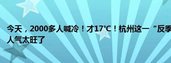 今天，2000多人喊冷！才17℃！杭州这一“反季节”大赛，人气太旺了