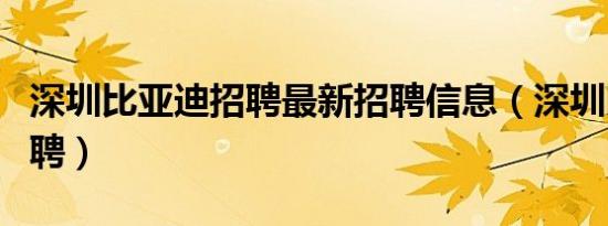 深圳比亚迪招聘最新招聘信息（深圳比亚迪招聘）