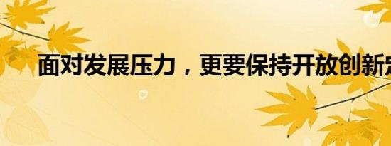 面对发展压力，更要保持开放创新定力