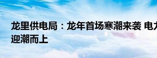 龙里供电局：龙年首场寒潮来袭 电力红马甲迎潮而上