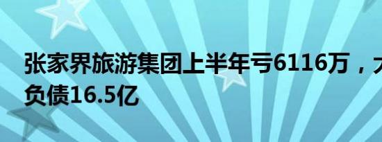 张家界旅游集团上半年亏6116万，大庸古城负债16.5亿