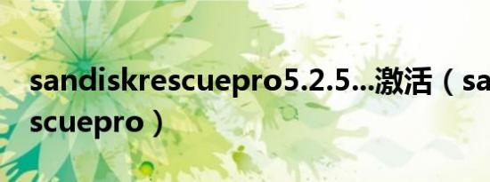 sandiskrescuepro5.2.5...激活（sandiskrescuepro）