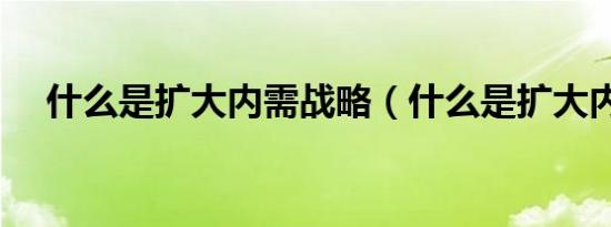 什么是扩大内需战略（什么是扩大内需）