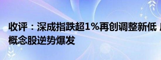 收评：深成指跌超1%再创调整新低 房屋检测概念股逆势爆发